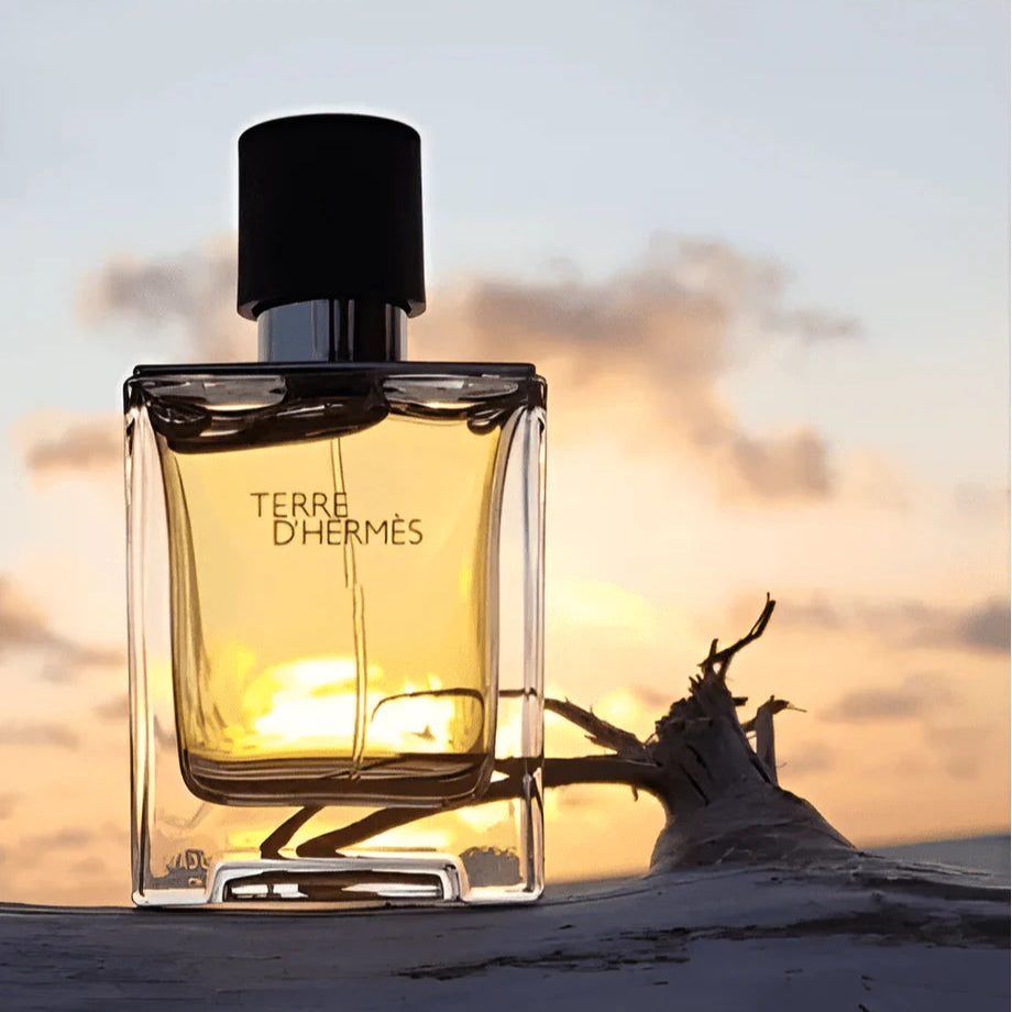 Hermes Terre D'Hermes EDT For Men Gift Set