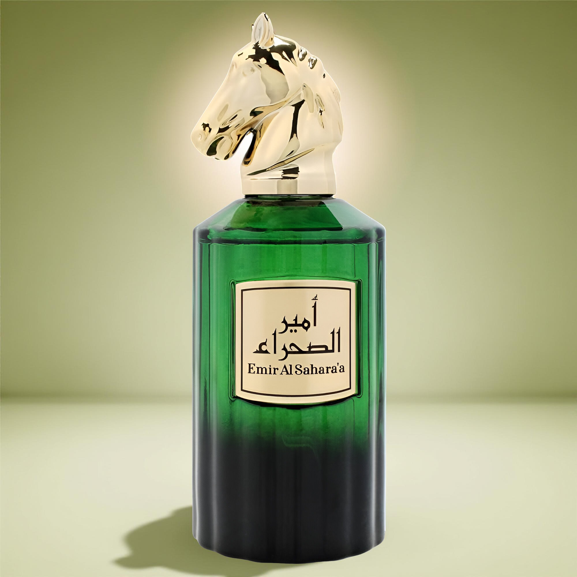 Risala Emir Al Sahara'A EDP