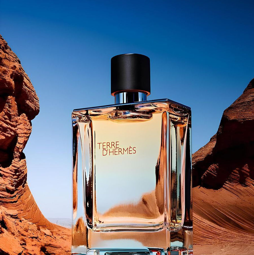 Hermes Terre D'Hermes EDT For Men Gift Set