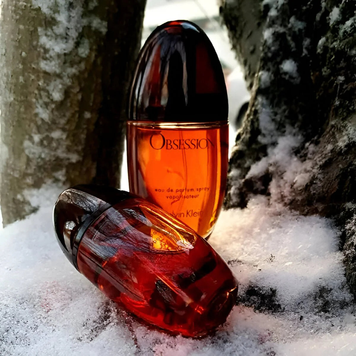 Calvin Klein Obsession EDP For Women Gift Set