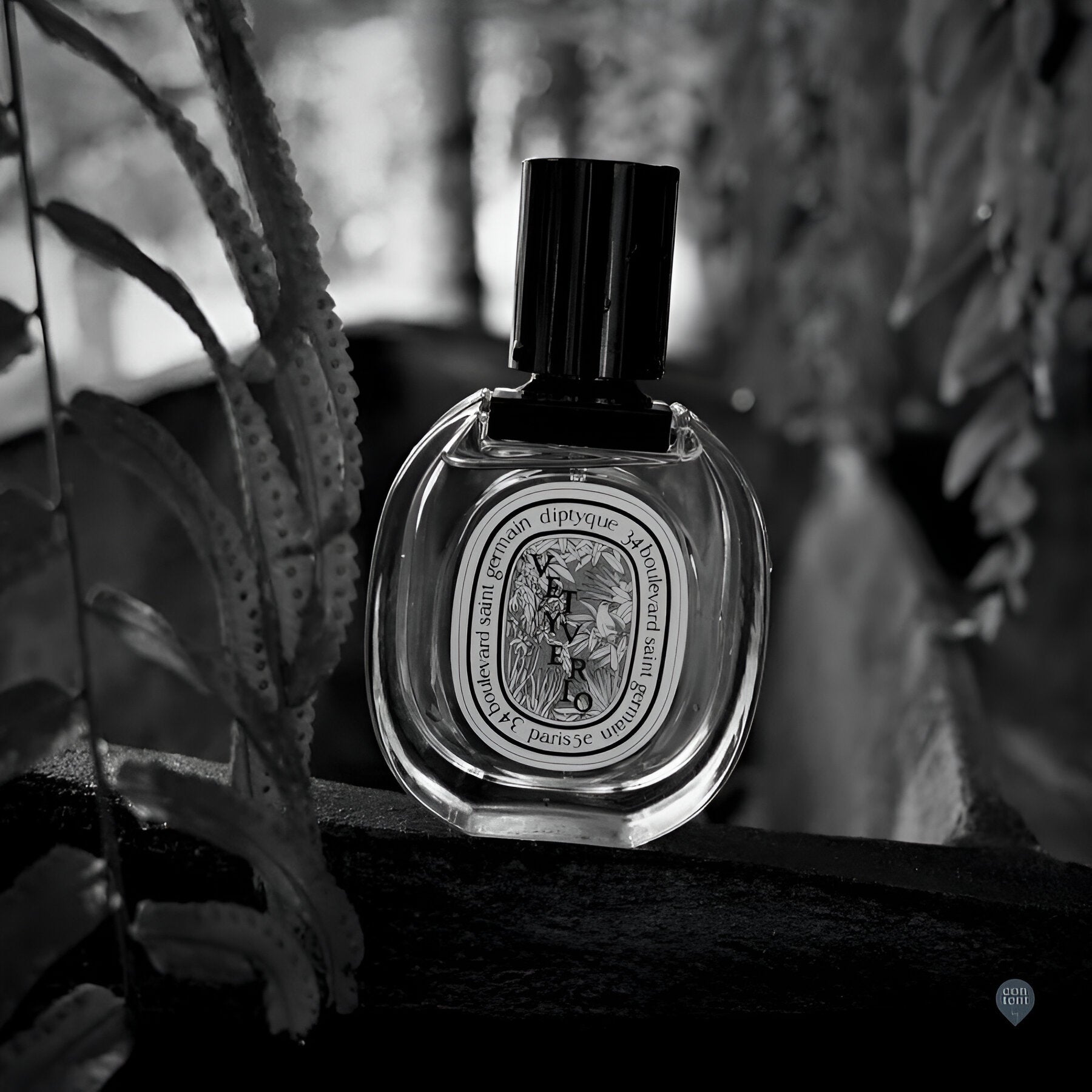 Diptyque Vetyverio EDP | My Perfume Shop