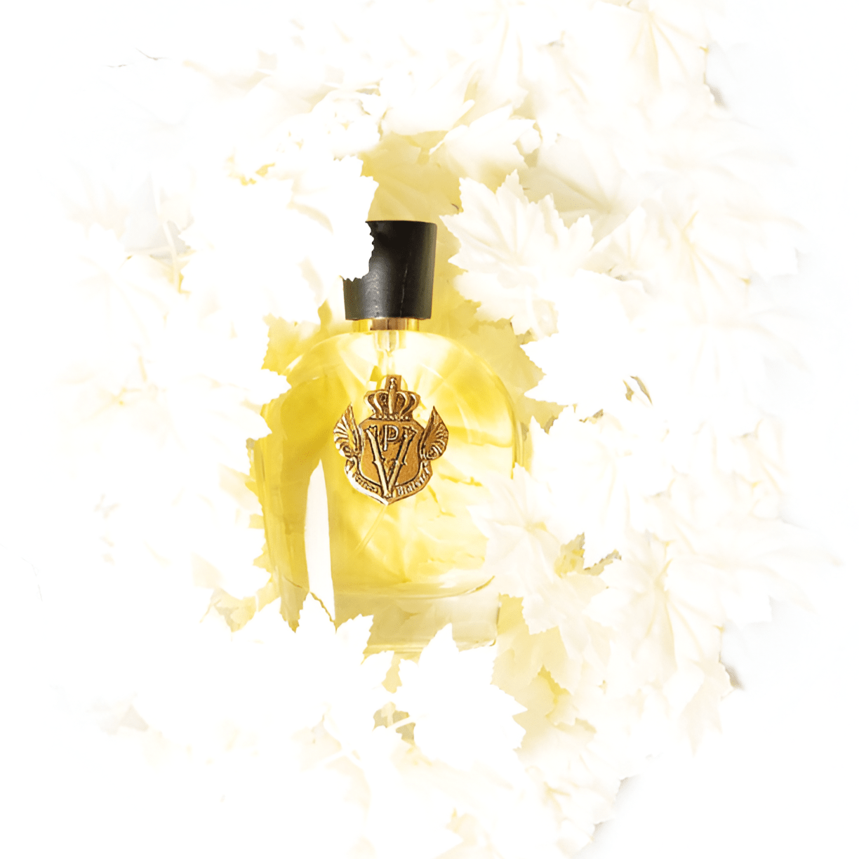 Parfums Vintage Curveball EDP | My Perfume Shop