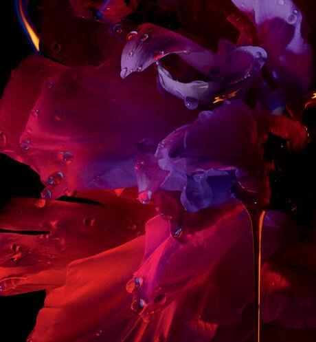 Dior Hypnotic Poison Deodorant | My Perfume Shop