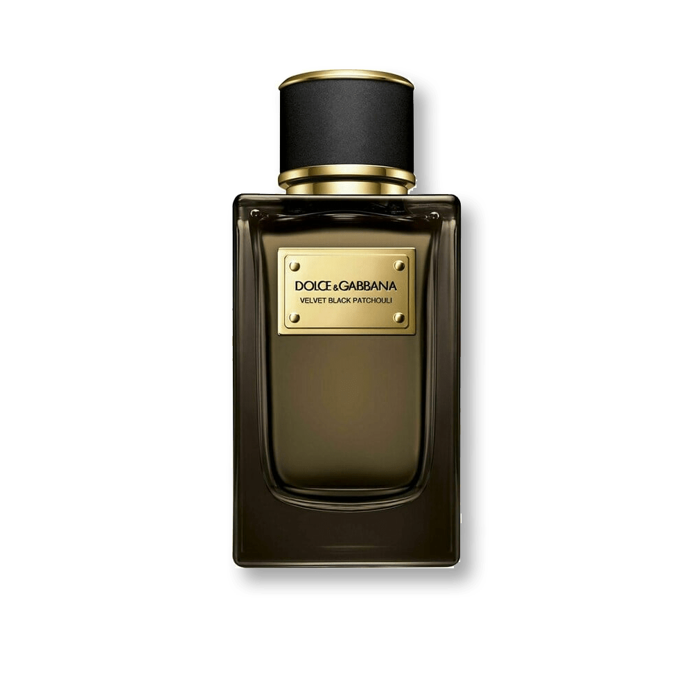 Shop Dolce Gabbana Velvet Black Patchouli EDP