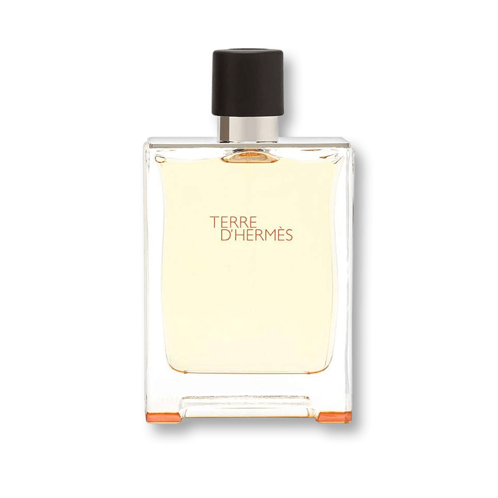 Shop Hermes Terre D'Hermes Delux Replica EDT in New Zealand