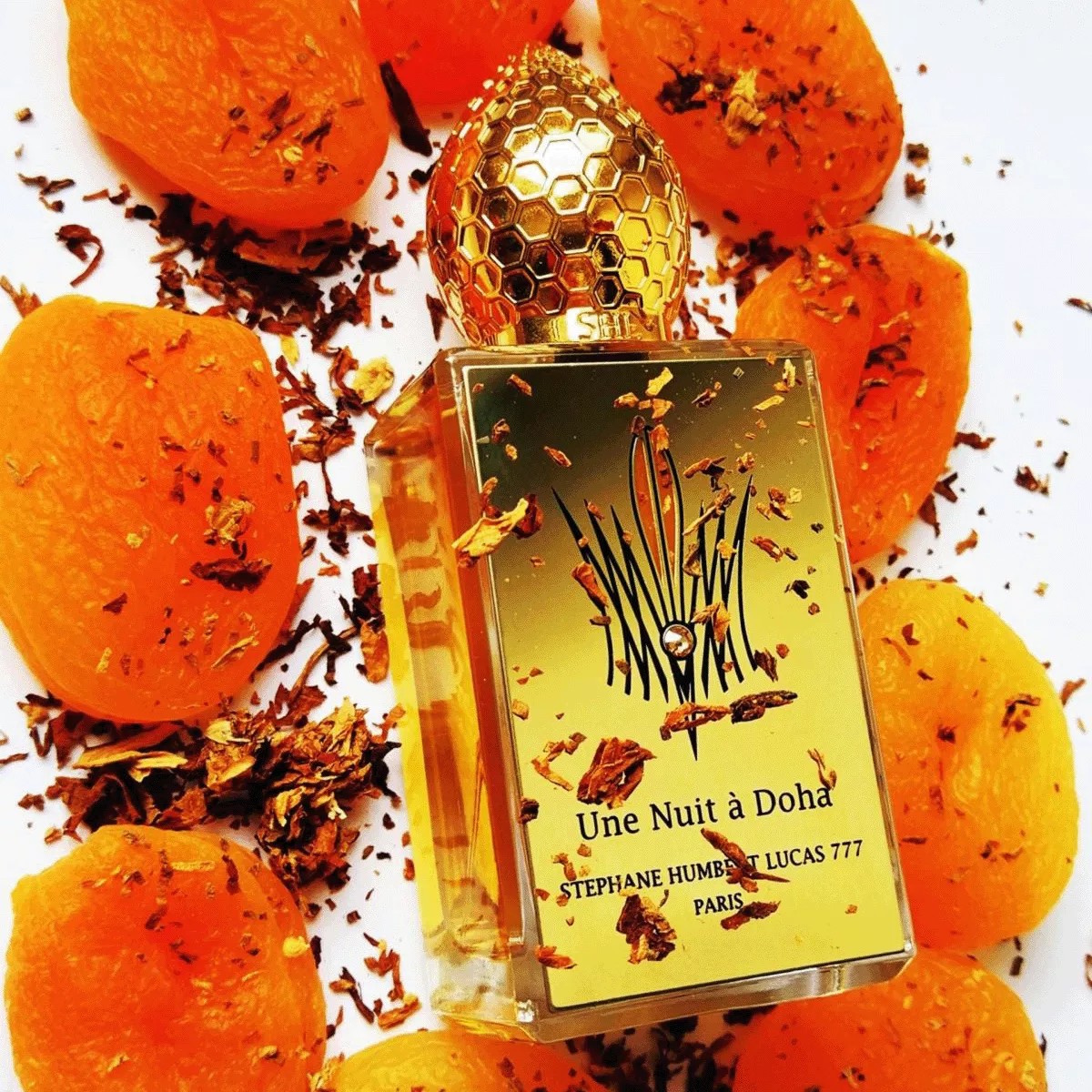 Stephane Humbert Lucas Une Nuit A Doha EDP fragrance details hero image