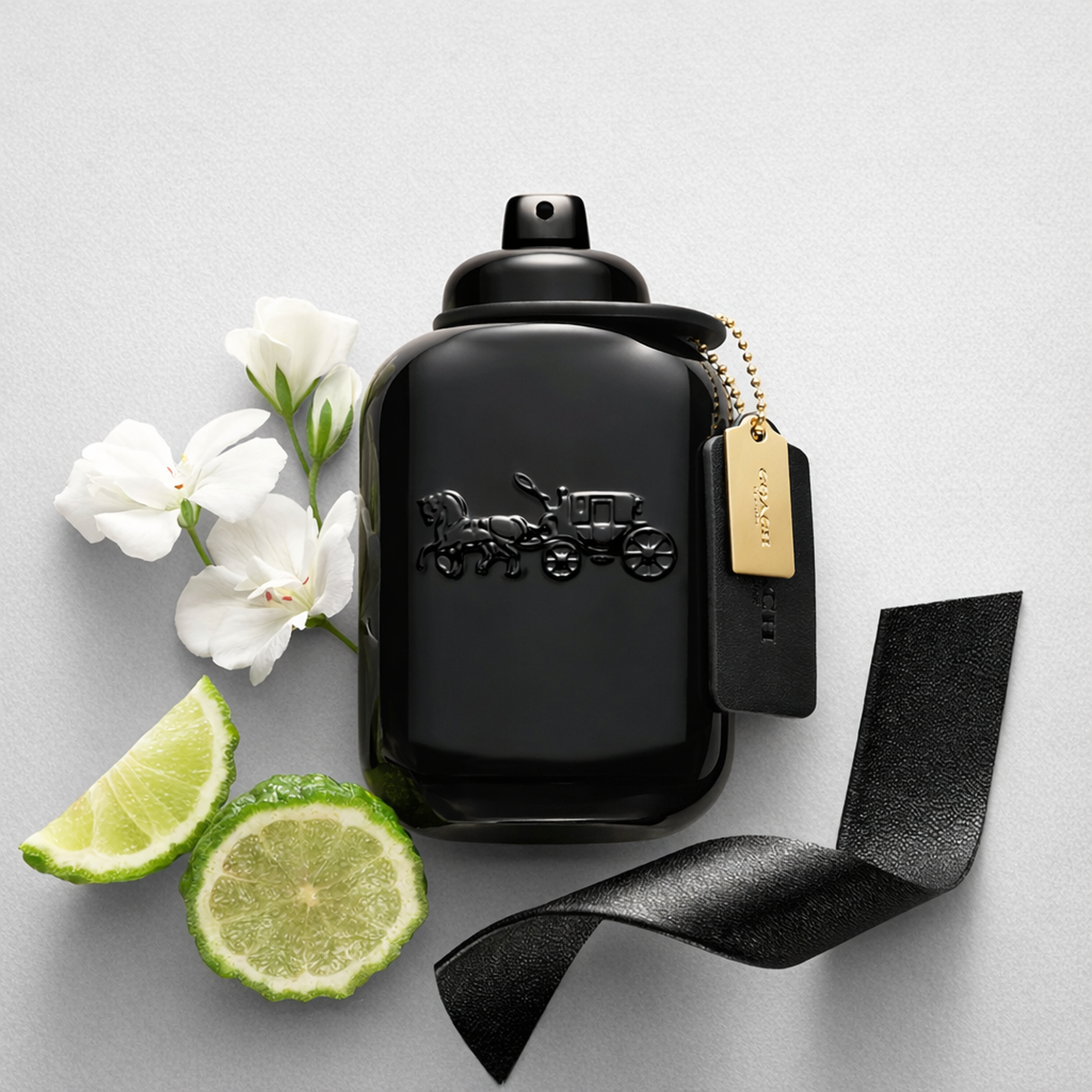 Coach For Men EDP fragrance notes image