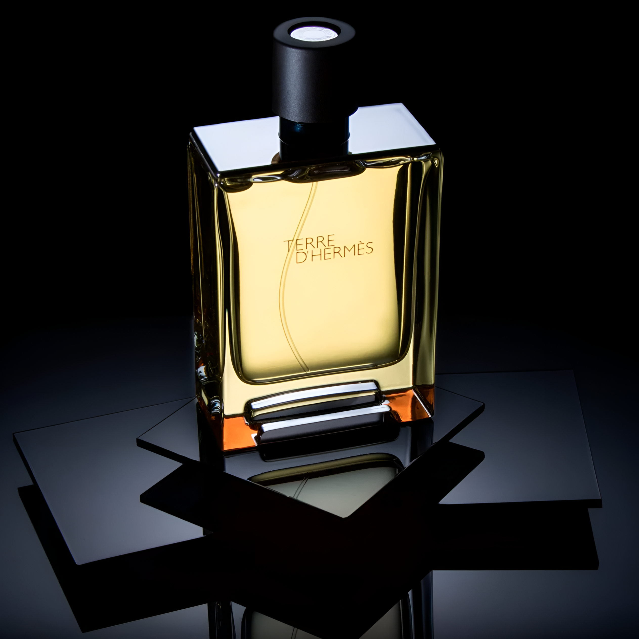 Shop Hermes Terre D'Hermes Delux Replica EDT in New Zealand