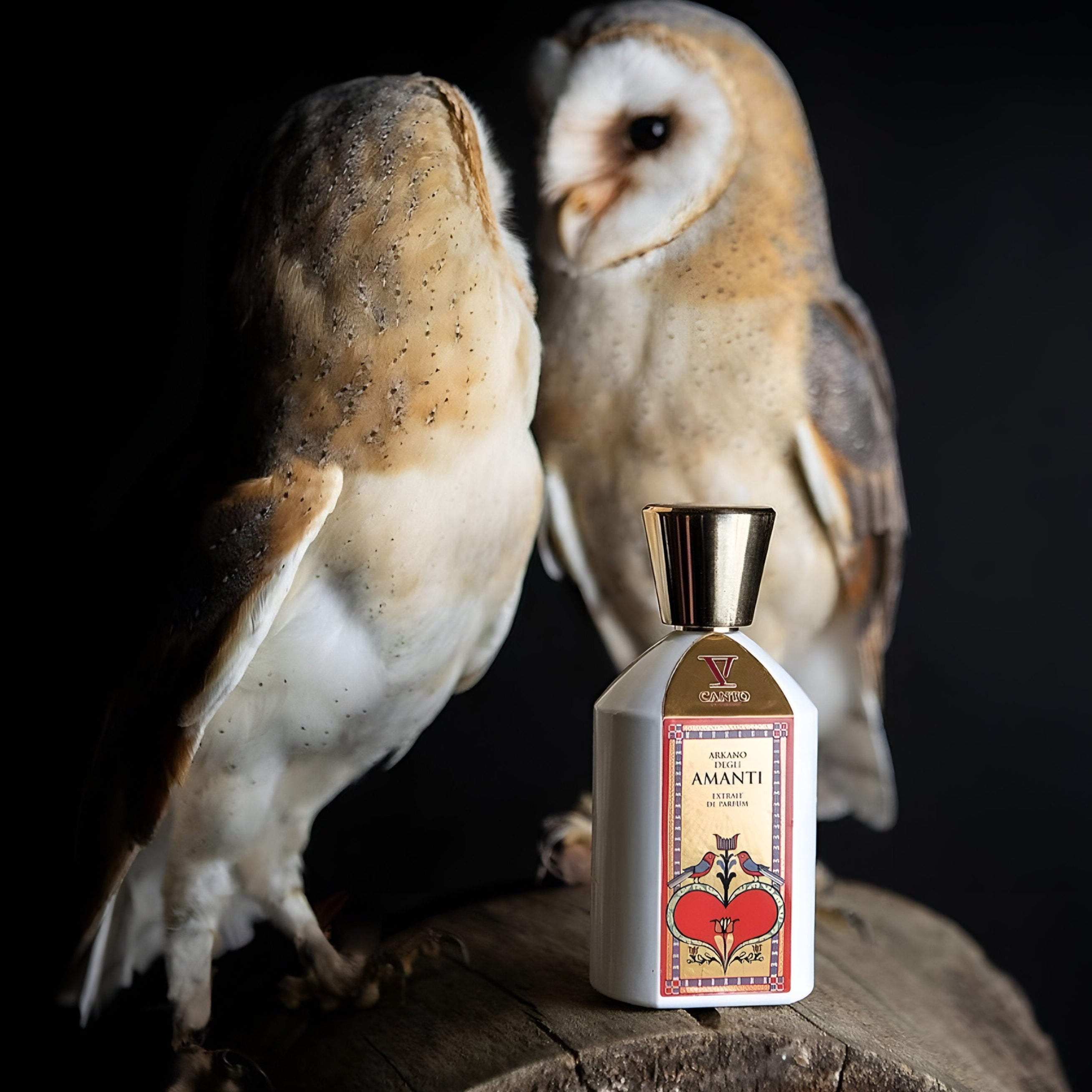 V Canto Arkano Degli Amanti Extrait De Parfum