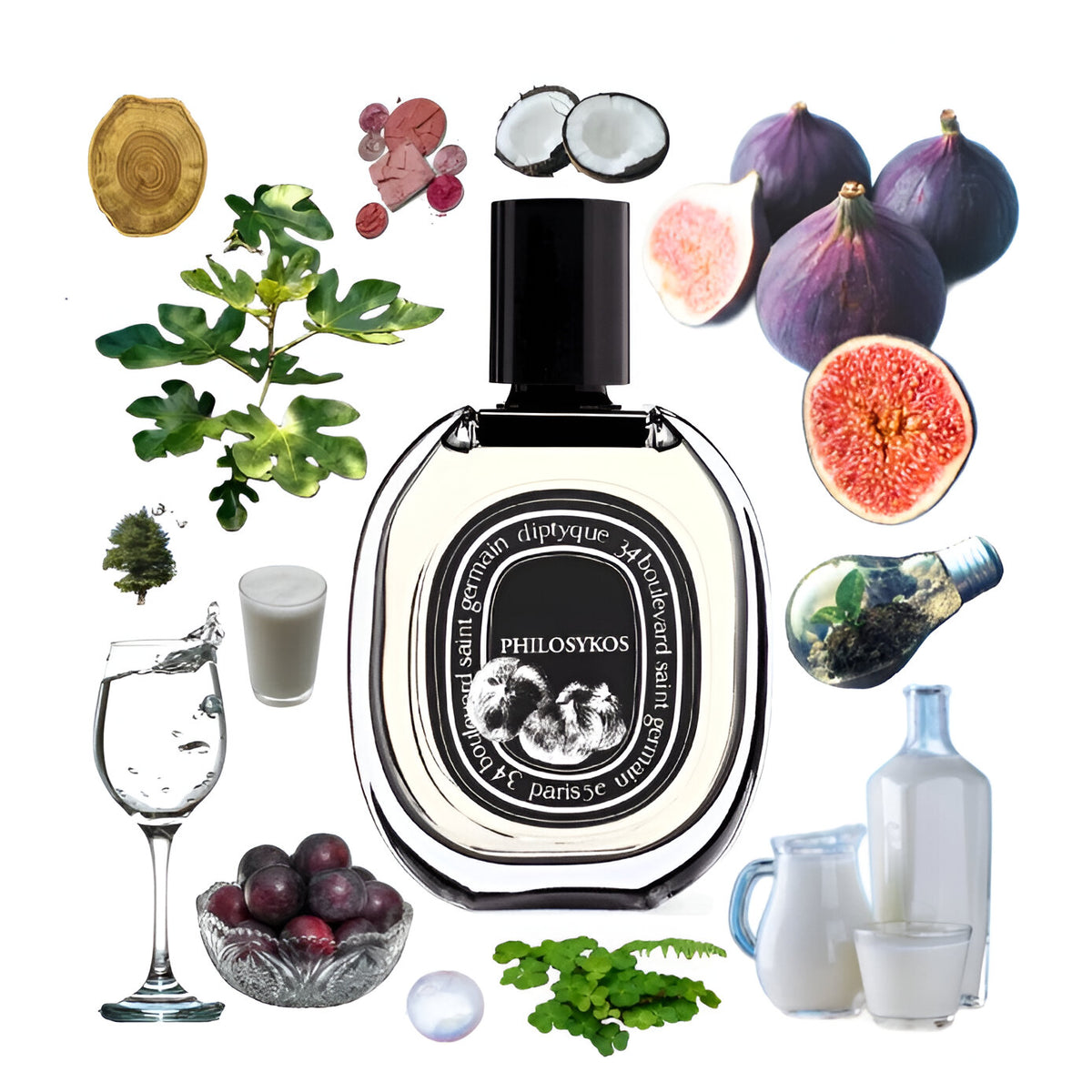 Shop Diptyque Philosykos EDP | My Perfume Shop New Zealand