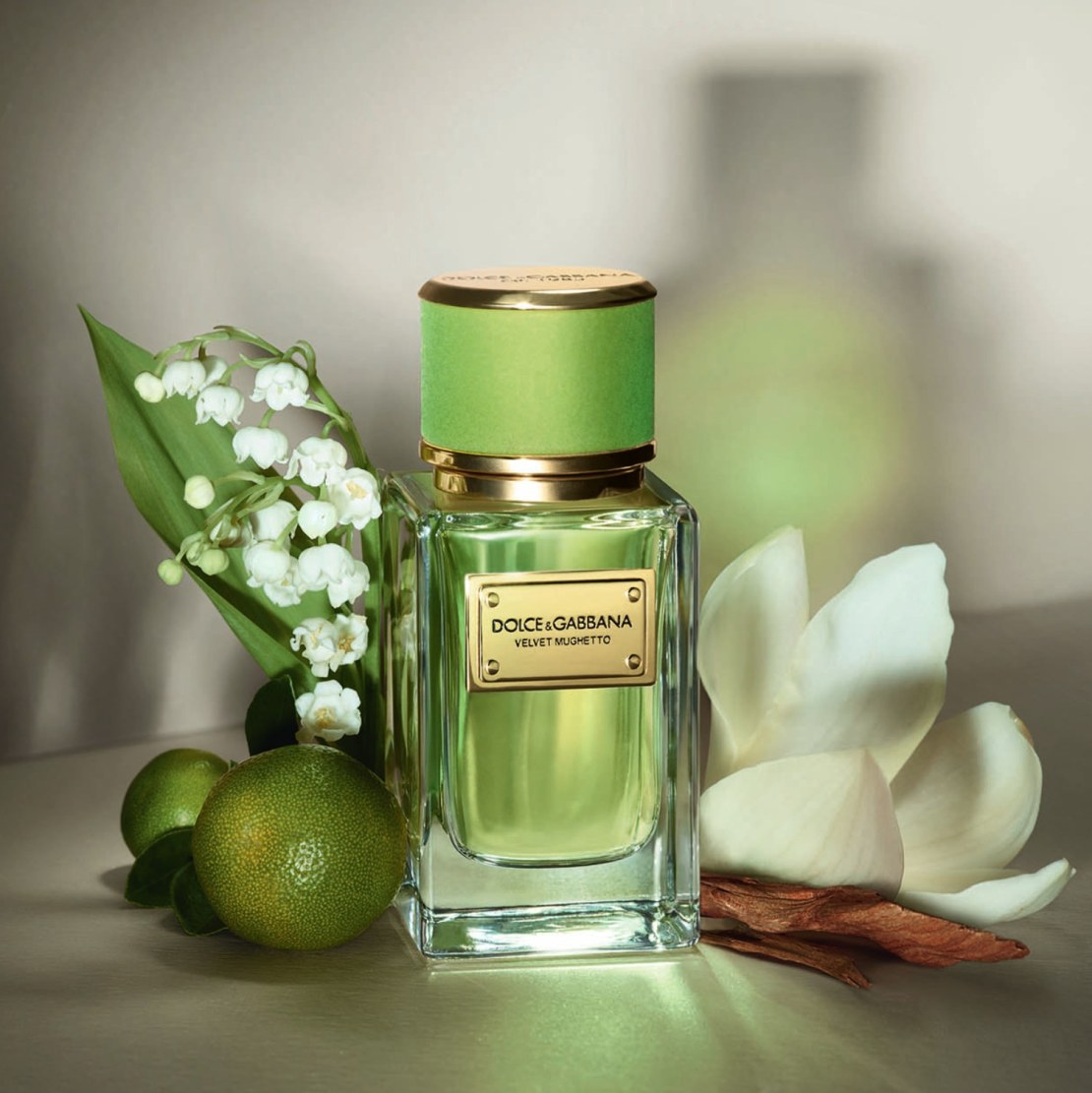 Shop Dolce & Gabbana Velvet Cypress EDP in New Zealand