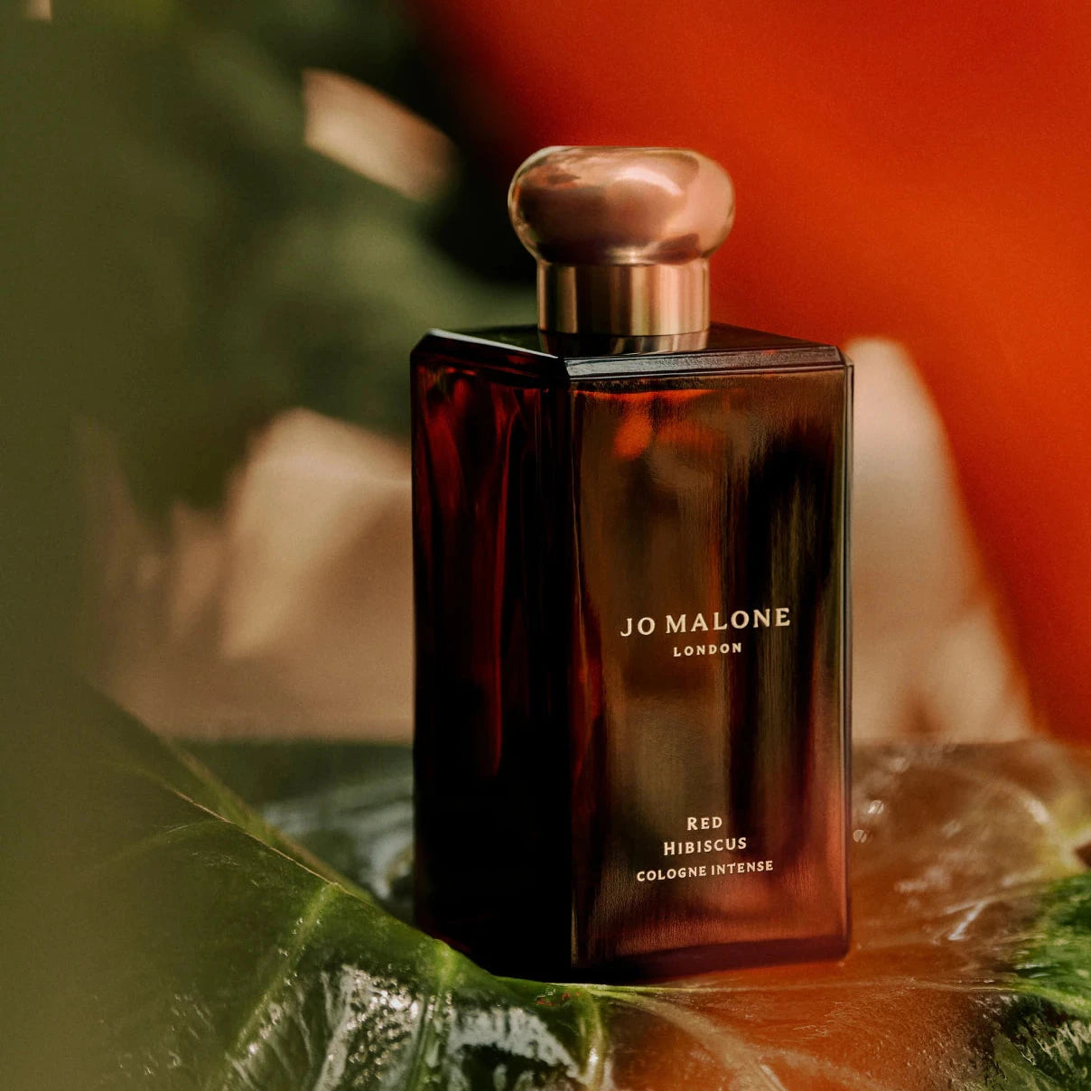 Shop Jo Malone Red Hibiscus Cologne Intense in New Zealand