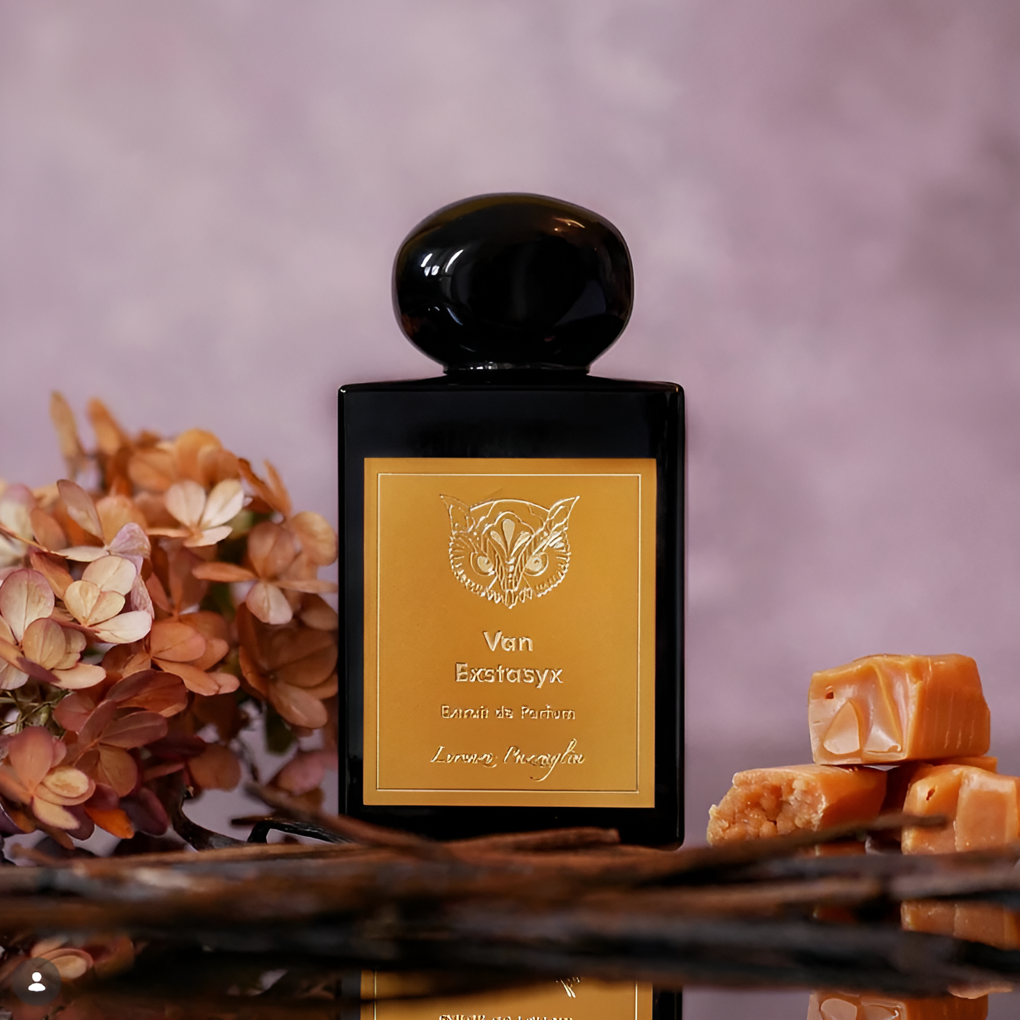 Lorenzo Pazzaglia Van Exstasyx Extrait de Parfum