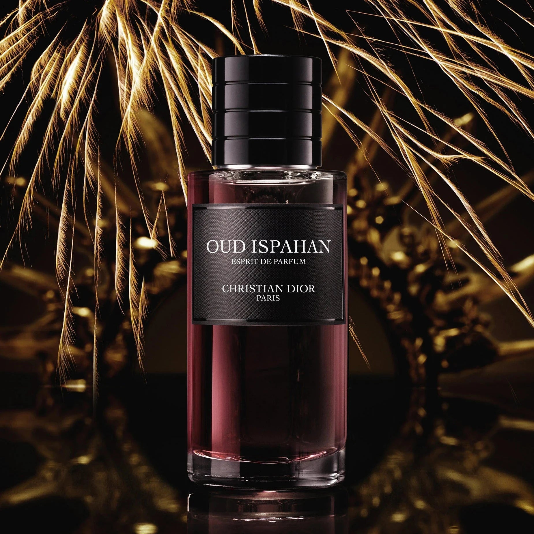 Shop Christian Dior Oud Ispahan Extrait De Parfum