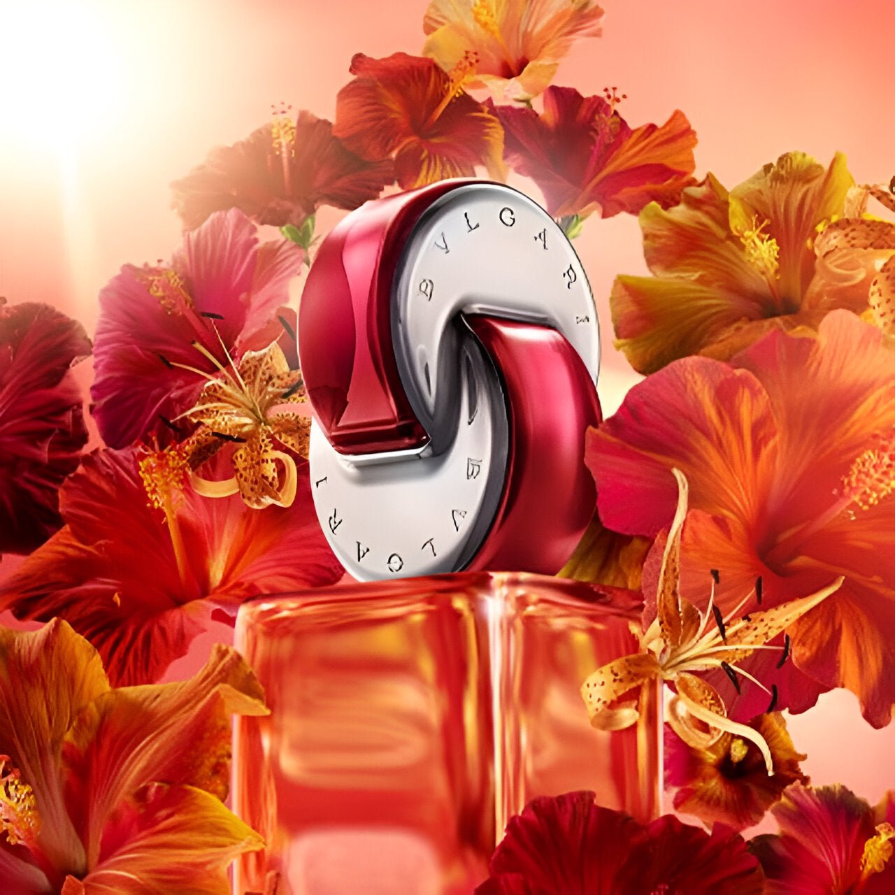 Omnia Coral Bvlgari Perfume Orange BVLGARI Omnia Coral Eau De