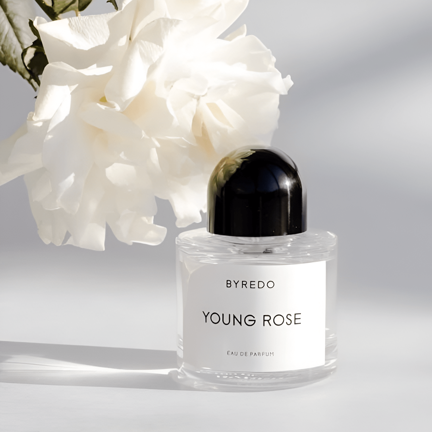 その他 BYREDO YOUNG ROSE Eau de Parfum 50ml Byredo Young Rose Eau De Parfum, Floral Perfume | 50 ml