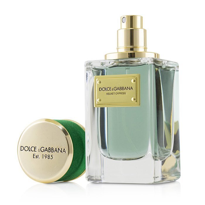 Shop Dolce & Gabbana Velvet Cypress EDP in New Zealand