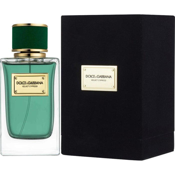 Shop Dolce & Gabbana Velvet Cypress EDP in New Zealand