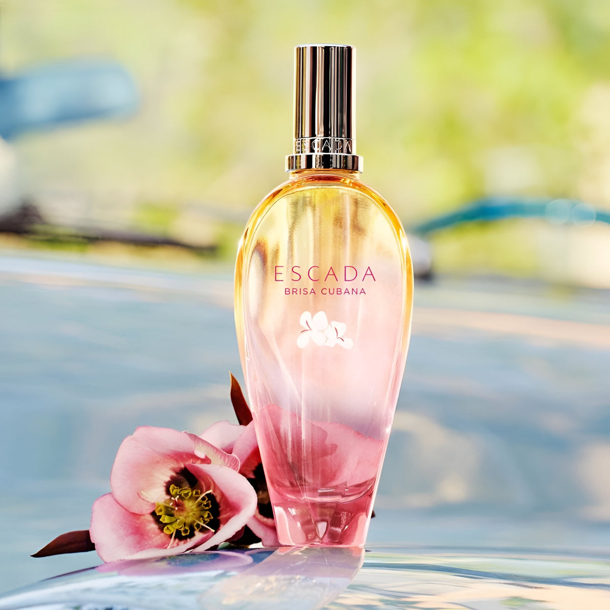 Shop Escada Brisa Cubana Limited Edition EDT For Women 100ml | My ...
