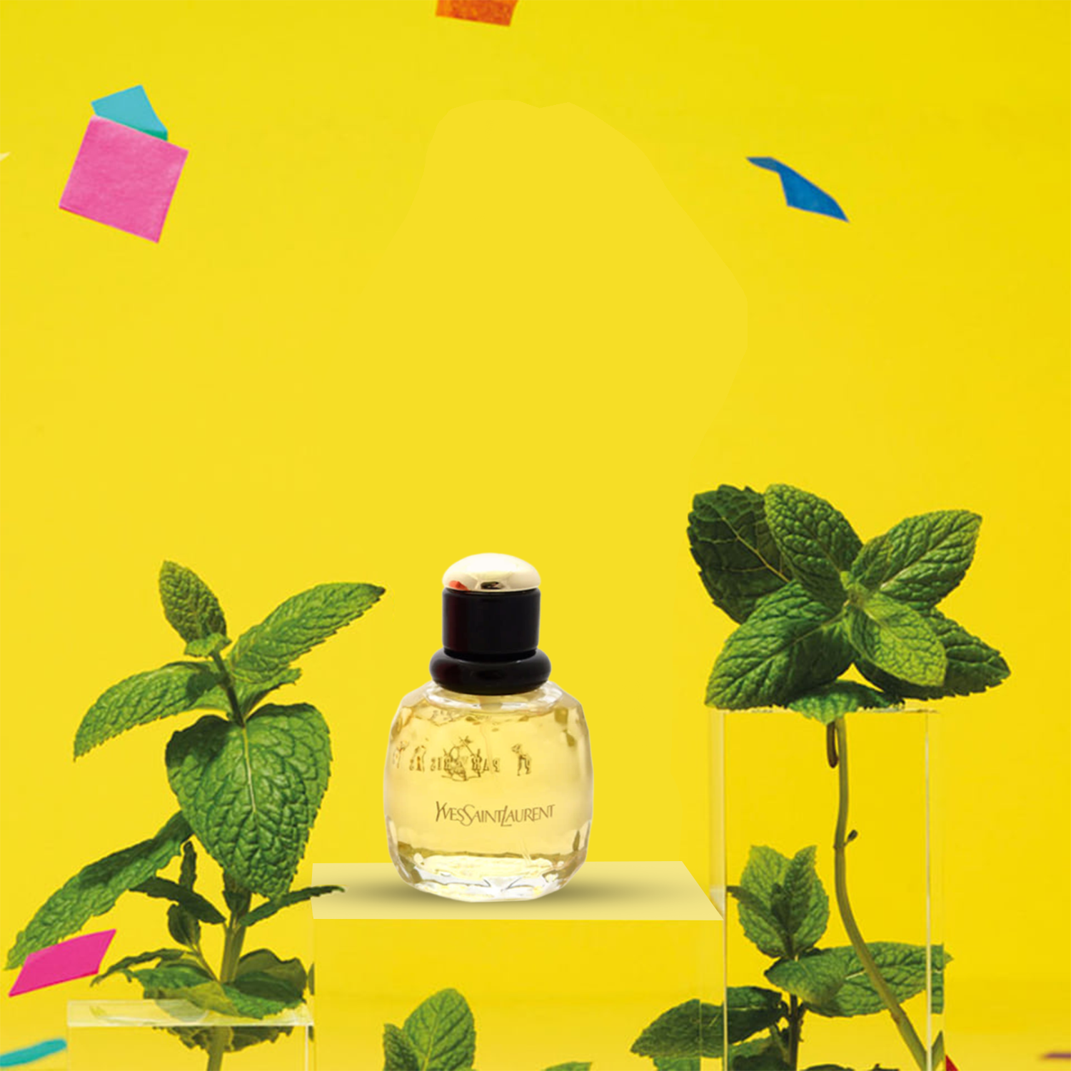 Shop Yves Saint Laurent Paris EDP in New Zealand