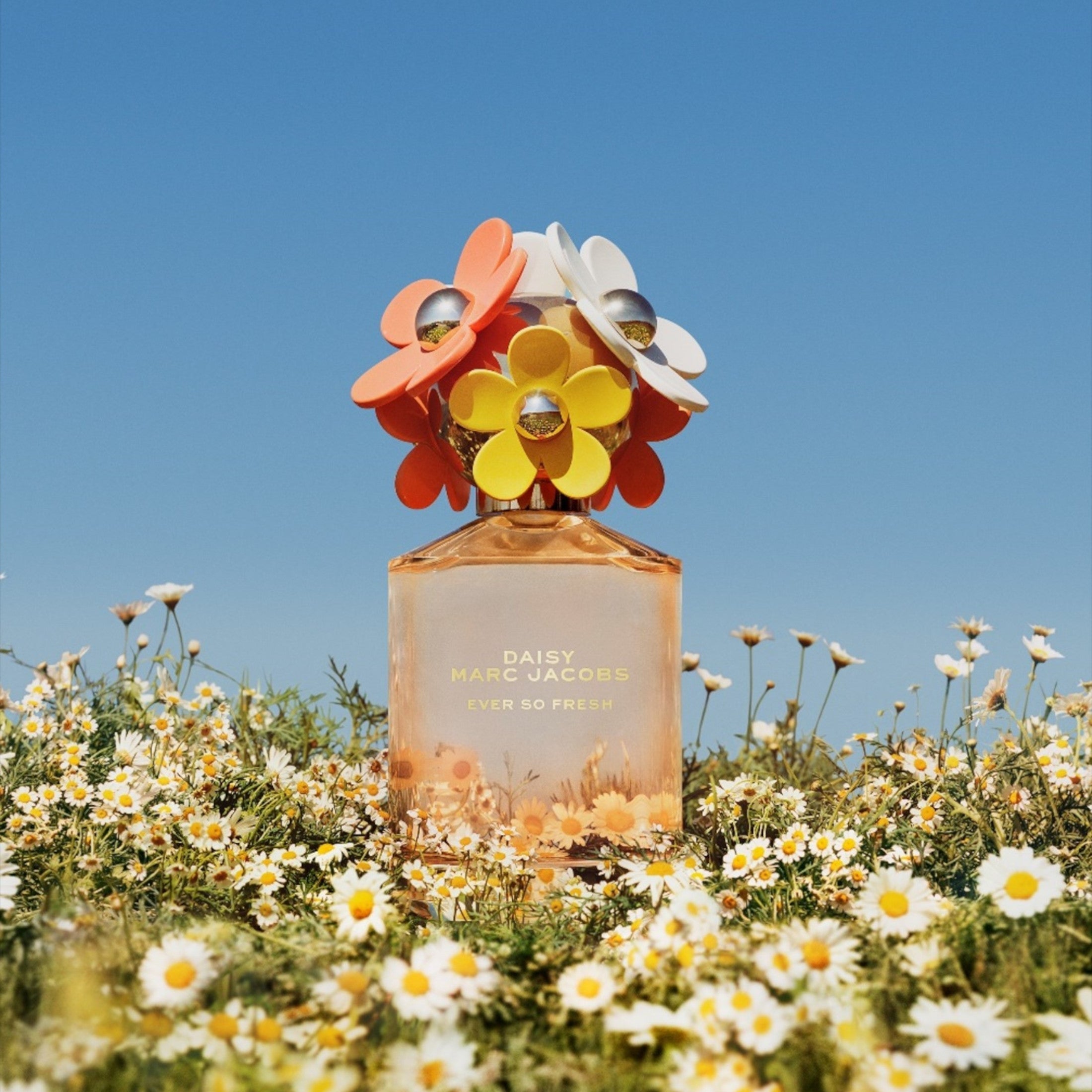 Marc Jacobs Daisy Ever So Fresh EDP | My Perfume Shop