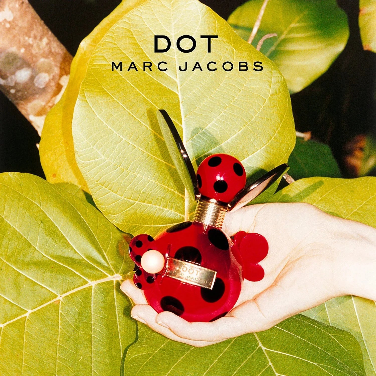Shop Marc Jacobs Dot EDP