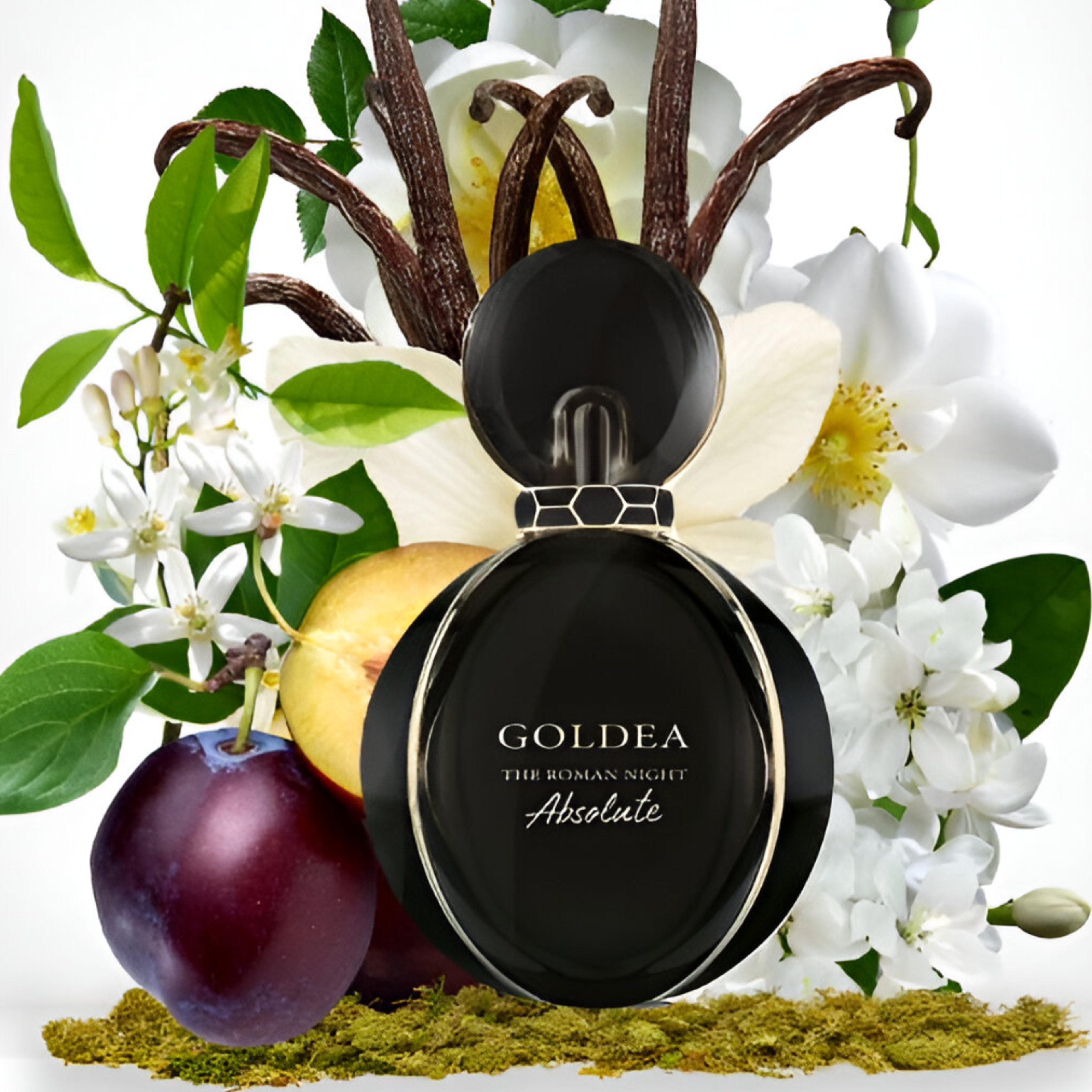 Shop Bvlgari Goldea The Roman Night Absolute EDP in New Zealand