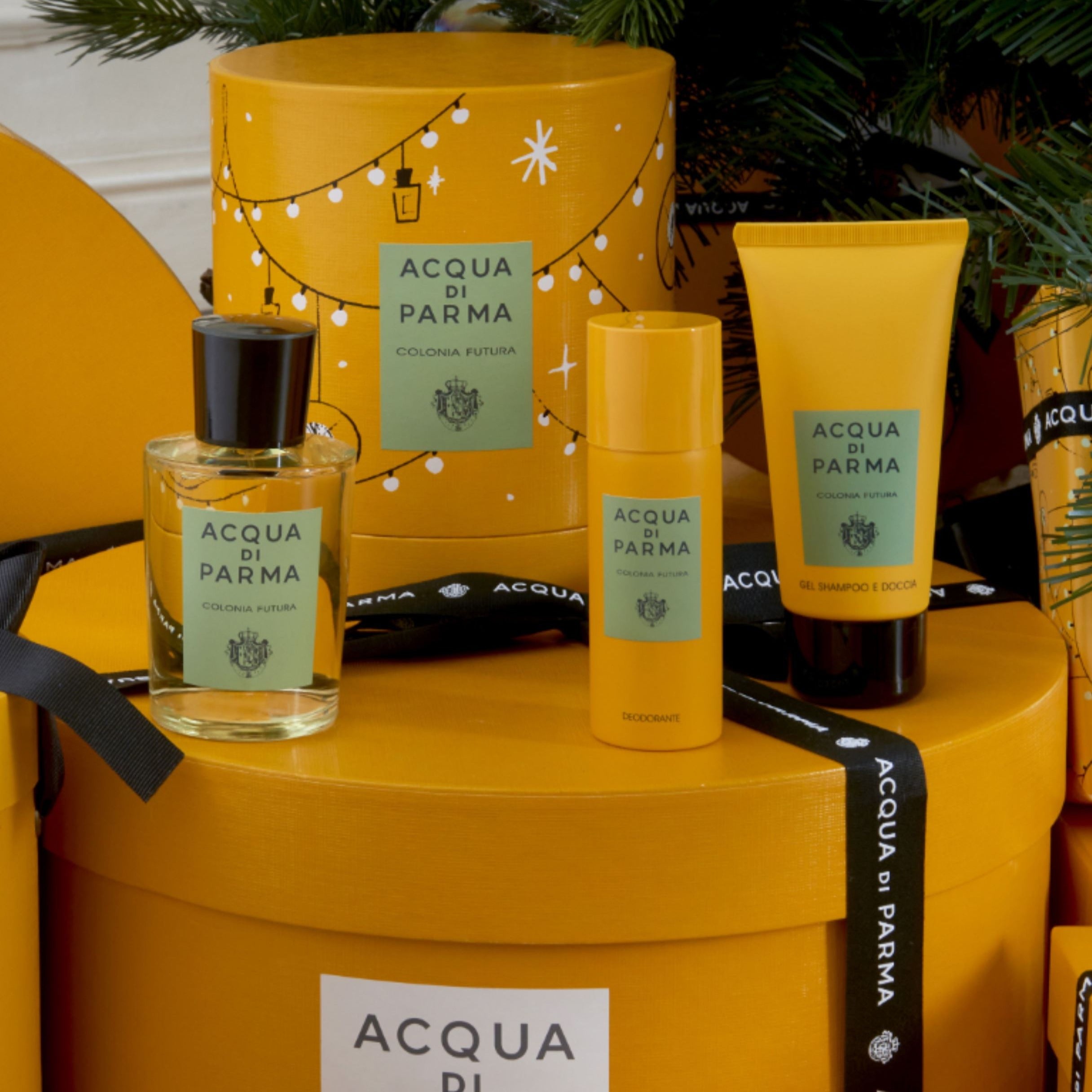 Shop Acqua Di Parma Colonia Futura Deodorant Spray