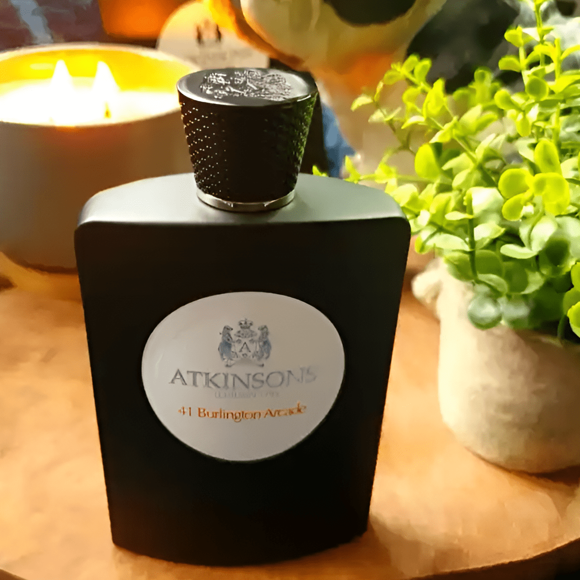 Atkinsons 41 Burlington Arcade EDP | My Perfume Shop Australia