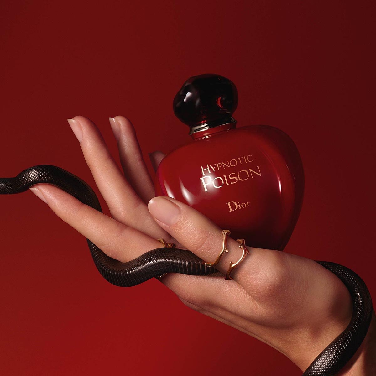 Dior Hypnotic Poison EDP | My Perfume Shop Australia