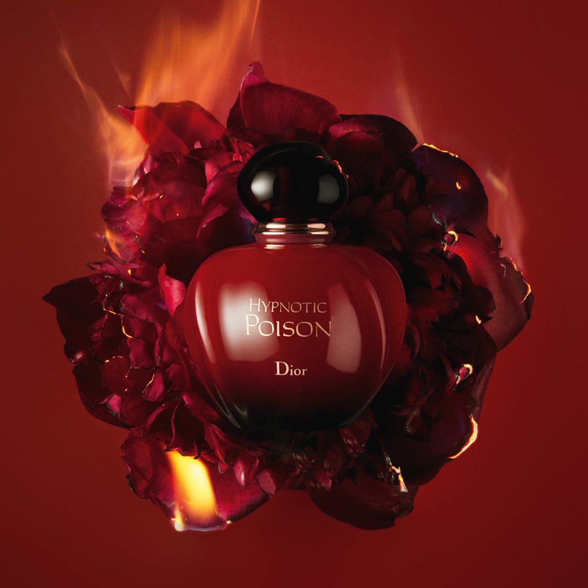 Dior Hypnotic Poison EDP | My Perfume Shop Australia