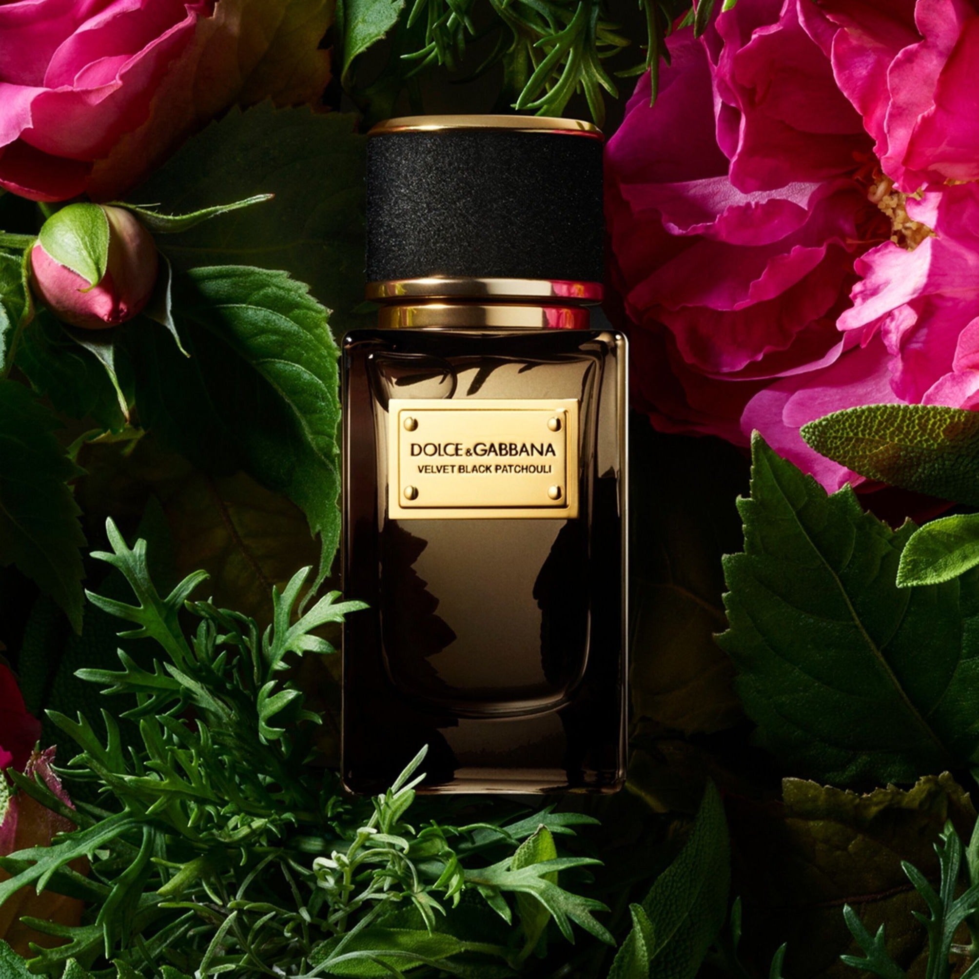 Dolce & Gabbana Velvet Black Patchouli EDP | My Perfume Shop Australia