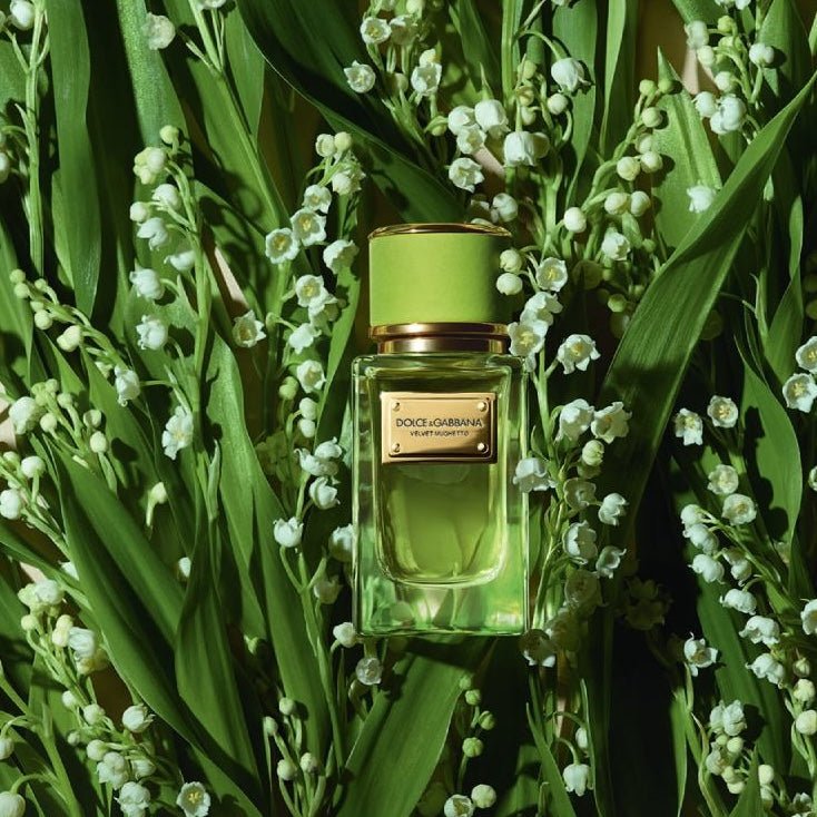 Shop Dolce & Gabbana Velvet Cypress EDP in New Zealand