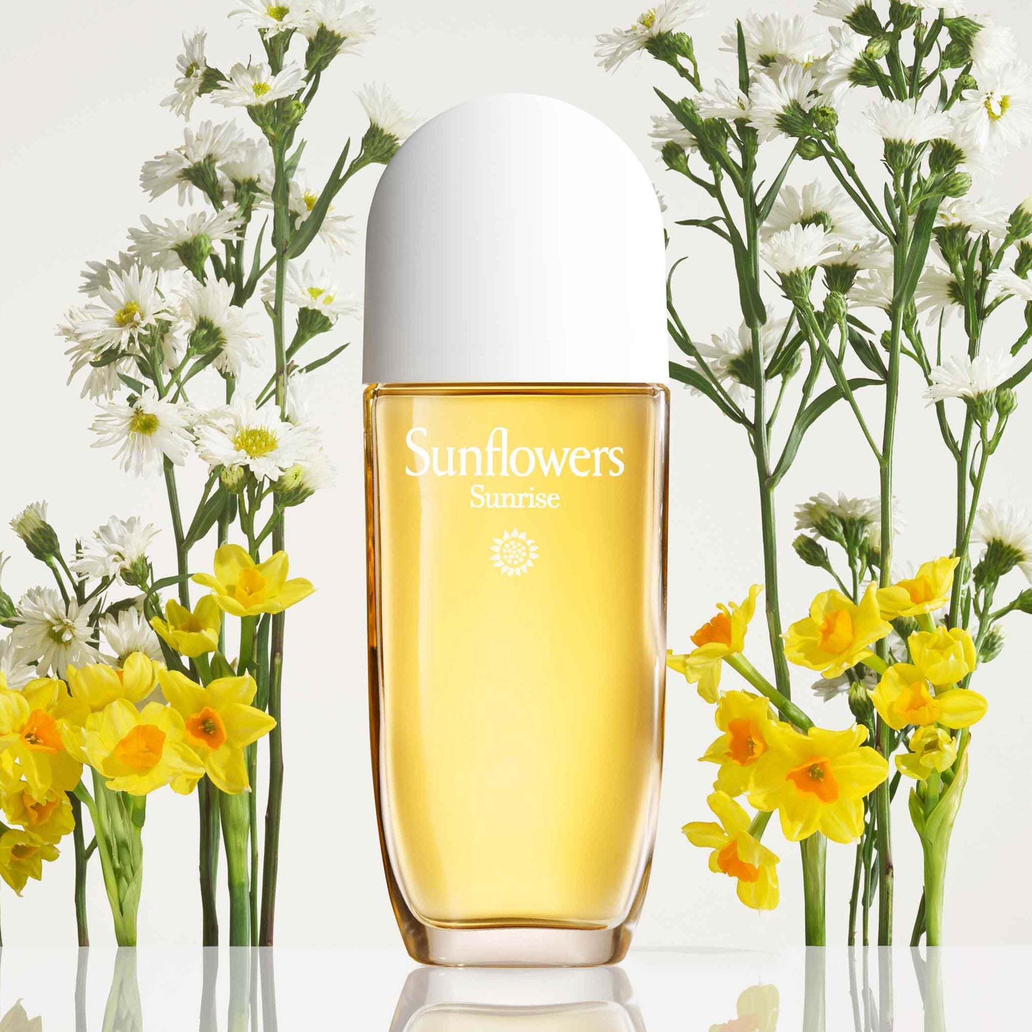 Elizabeth Arden Sunflowers EDT | My Perfume Shop Australia