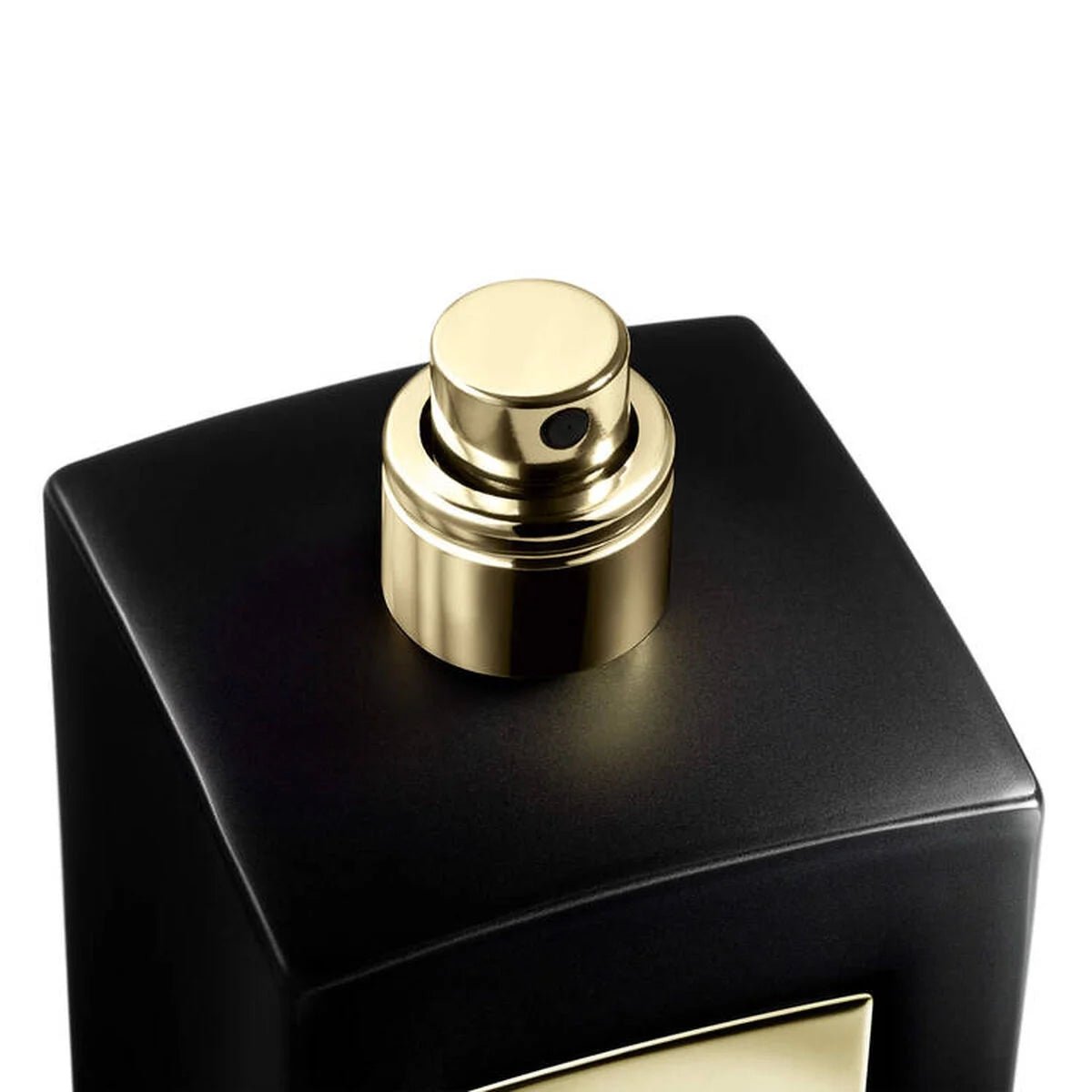 Giorgio Armani Prive Oud Royal EDP Intense | My Perfume Shop Australia