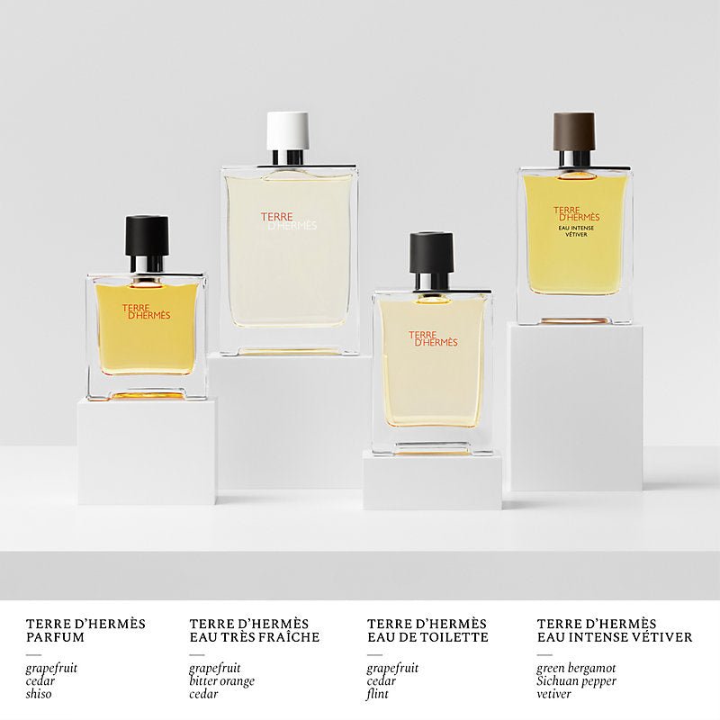 Hermes Terre d'Hermes Miniature Set | My Perfume Shop Australia