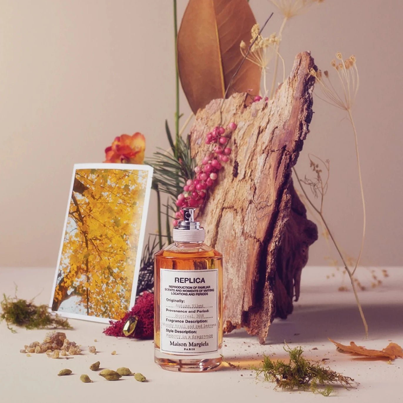 Maison Margiela Replica Autumn Vibes EDT | My Perfume Shop Australia