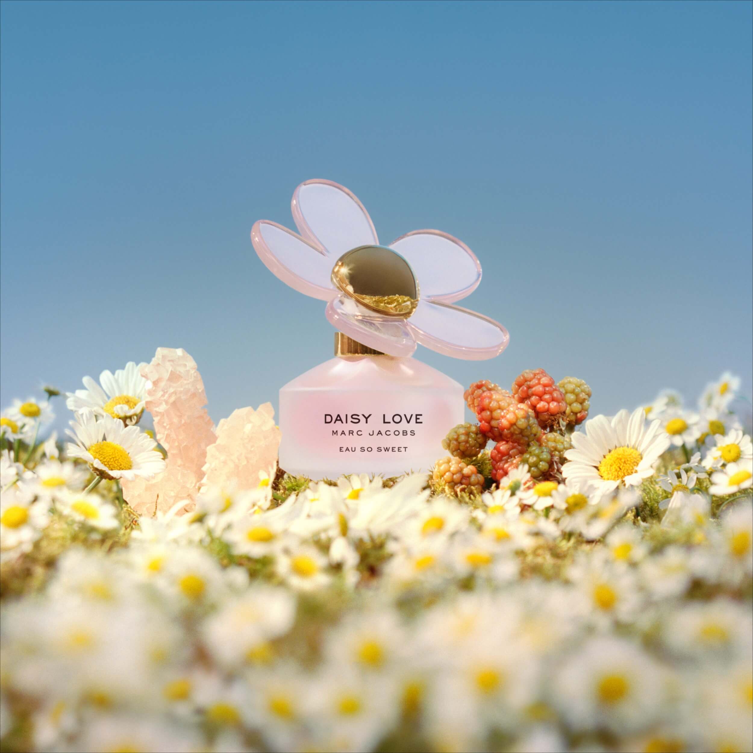 Marc Jacobs Daisy Love Eau So Sweet EDT | My Perfume Shop Australia