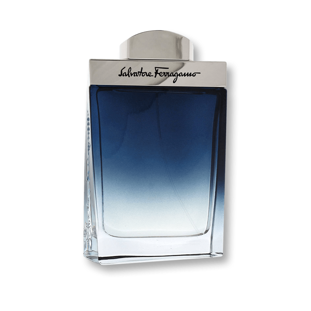 Salvatore Ferragamo Subtil Pour Homme EDT | My Perfume Shop Australia