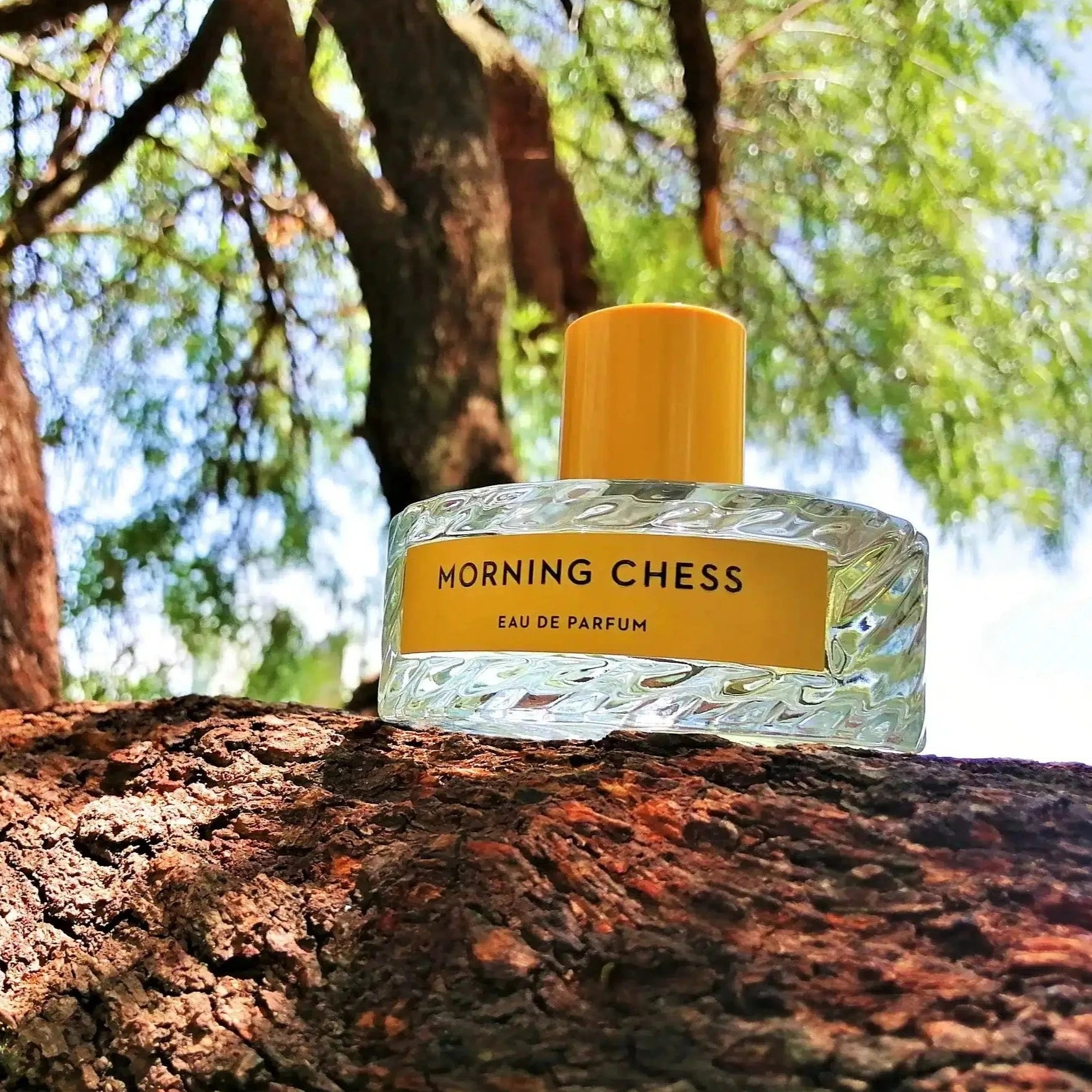 Shop Vilhelm Parfumerie Morning Chess EDP in New Zealand